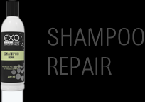 Shampoo Repair